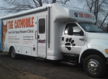 catmobile