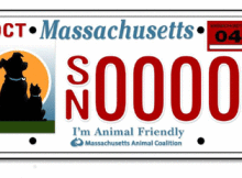 Pet friendly license plate