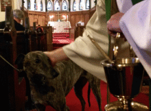 dog blessing