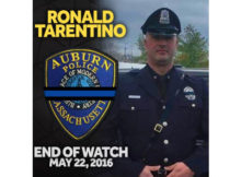 Ronald Tarentino, Jr.